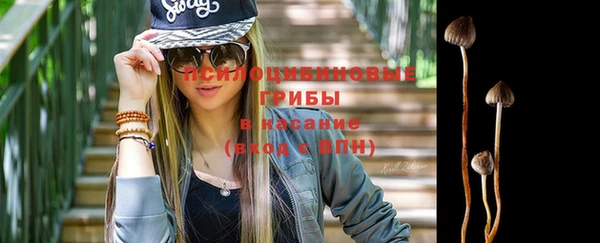 СК Абинск