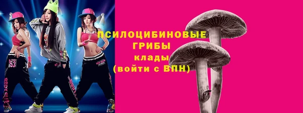 спиды Абаза