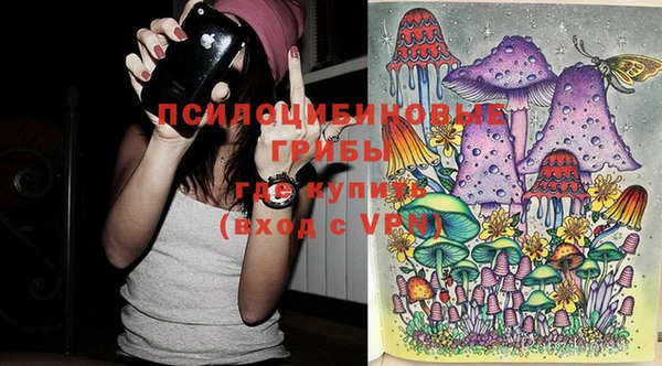 СК Абинск
