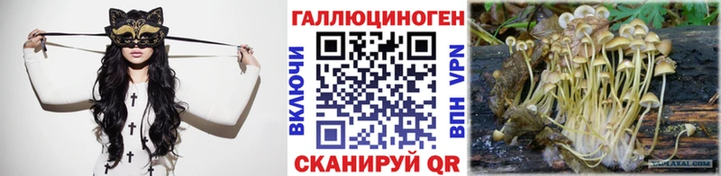 Псилоцибиновые грибы Psilocybe  ОМГ ОМГ зеркало  Киренск  наркошоп 
